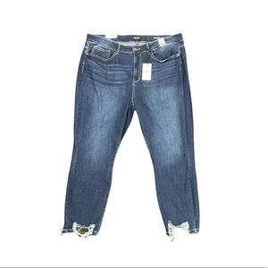 Plus Size Judy Blue Relaxed Fit with Destroyed Hem